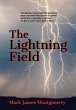 The Lightning Field - Bild 1