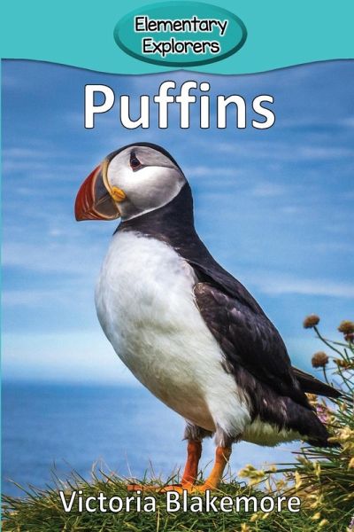 Puffins Puffins
