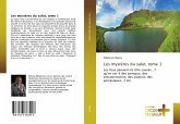 Les mystères du salut, tome 1