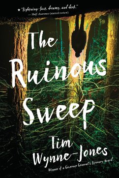 The Ruinous Sweep - Wynne-Jones, Tim