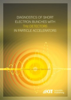 Diagnostics of Short Electron Bunches with THz Detectors in Particle Accelerators