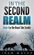 In the Second Realm (eBook, ePUB) - Bild 1