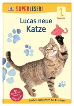 SUPERLESER! Lucas neue Katze / Superleser 1. Lesestufe Bd.13 - Drevenstedt, Ute