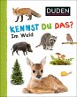 Duden 12+: Kennst du das? Im Wald - Bild 1