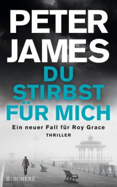 Du stirbst für mich / Roy Grace Bd.13 - James, Peter