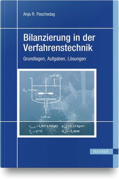 Bilanzierung in der Verfahrenstechnik - Paschedag, Anja R.