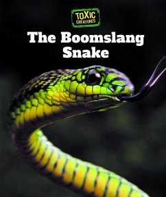 Cover The Boomslang Snake