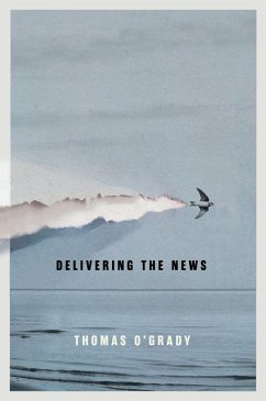 Cover Delivering the News (eBook, ePUB)