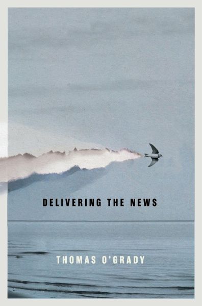 Delivering the News (eBook, ePUB) Delivering the News (eBook, ePUB)