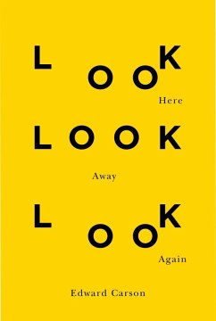 Look Here Look Away Look Again (eBook, ePUB) - Carson, Edward