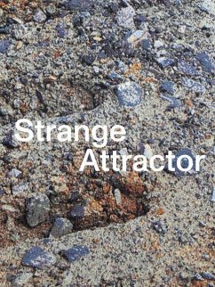 Strange Attractor