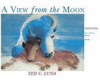 A View from the Moon (Hardcover)