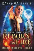 Reborn in Fire (Untamed Elements, #1) (eBook, ePUB)
