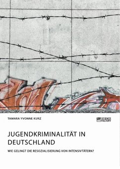 Jugendkriminalität in Deutschland. Wie gelingt die Resozialisierung von Intensivtätern? (eBook, PDF)