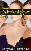 Endowment Resort: Day Six (eBook, ePUB)