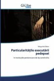 Particularitatile executarii pedepsei