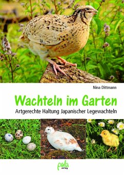 Wachteln im Garten - Dittmann, Nina