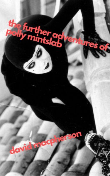 The Further Adventures of Polly Mintslab (eBook, ePUB) The Further Adventures of Polly Mintslab (eBook, ePUB)