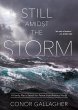 Still Amidst the Storm (eBook, ePUB) - Bild 1