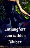 Entjungfert vom wilden Räuber (eBook, ePUB)