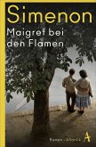 Maigret bei den Flamen / Kommissar Maigret Bd.14