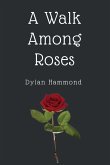 A Walk Among Roses