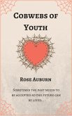 Cobwebs of Youth (eBook, ePUB)
