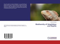 Biodiversity of Amphibian and Reptile