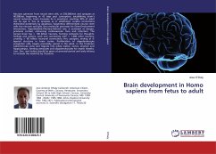 Brain development in Homo sapiens from fetus to adult - O'Daly, Jose