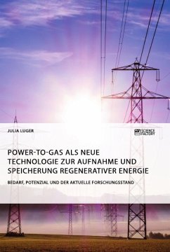 Power-to-Gas als neue Technologie zur Aufnahme und Speicherung regenerativer Energie. Bedarf, Potenzial und der aktuelle Forschungsstand - Luger, Julia