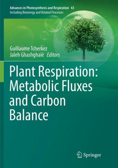Cover Plant Respiration: Metabolic Fluxes and Carbon Balance