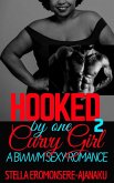 Hooked by one Curvy Girl ~ A BWWM Sexy Romance (Curvy Girl Romance, #2) (eBook, ePUB)