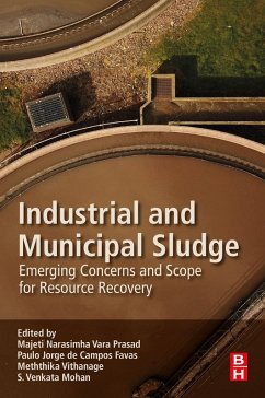 Cover Industrial and Municipal Sludge (eBook, ePUB)