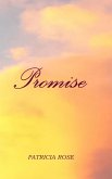 Promise