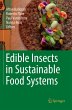 Edible Insects in Sustainable Food... - Bild 1