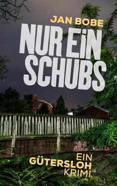 Nur ein Schubs (eBook, ePUB) - Bobe, Jan