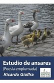 Estudio de Ansares (eBook, ePUB)