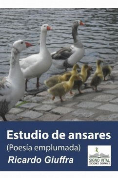 Estudio de Ansares (eBook, ePUB) - Giuffra, Ricardo