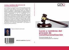 Luces y sombras del proceso de constitucionalización