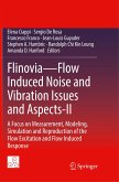Flinovia¿Flow Induced Noise and Vibration Issues and Aspects-II