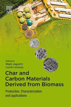 Cover Char and Carbon Materials Derived from Biomass (eBook, ePUB)