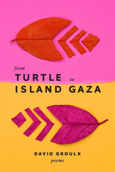 From Turtle Island to Gaza (eBook, ePUB)
