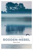 Bodden-Nebel (eBook, ePUB)