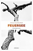 Feuersee (eBook, ePUB)