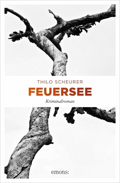 Feuersee (eBook, ePUB) - Scheurer, Thilo