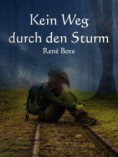 Kein Weg durch den Sturm (eBook, ePUB) - Bote, René