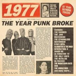 1977-The Year Punk Broke(3cd Box Set) - Diverse