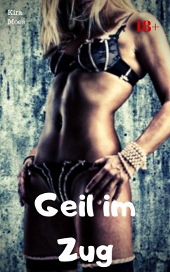 Geil im Zug (eBook, ePUB) Cover Geil im Zug (eBook, ePUB)