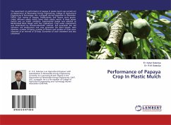 Performance of Papaya Crop In Plastic Mulch