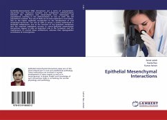 Epithelial Mesenchymal Interactions